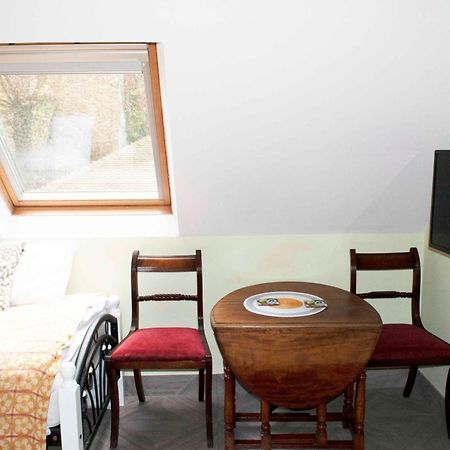 Forest Studio Apartment Gated Parking On 2 Acres Garden チズルハースト エクステリア 写真