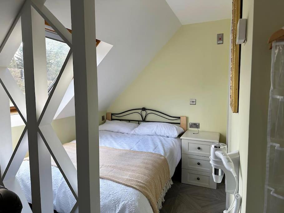 Forest Studio Apartment Gated Parking On 2 Acres Garden チズルハースト エクステリア 写真