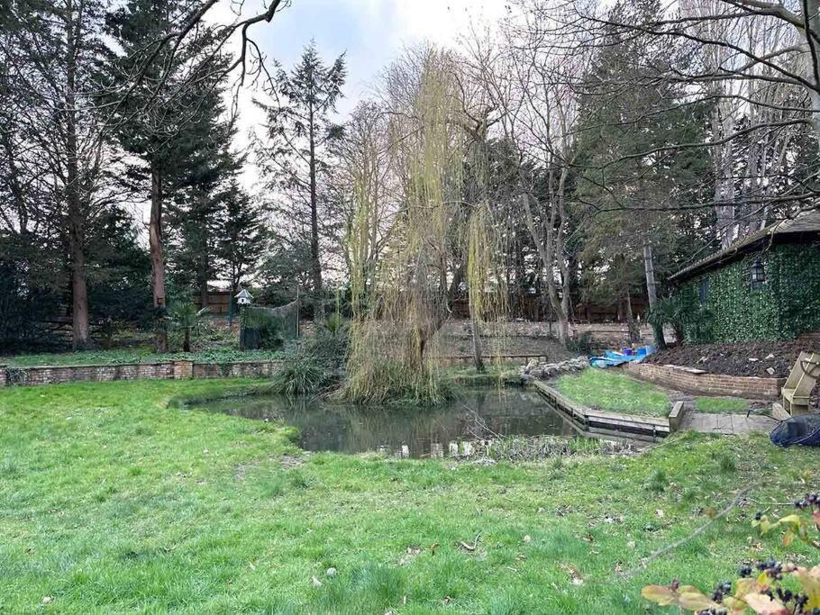 Forest Studio Apartment Gated Parking On 2 Acres Garden チズルハースト エクステリア 写真
