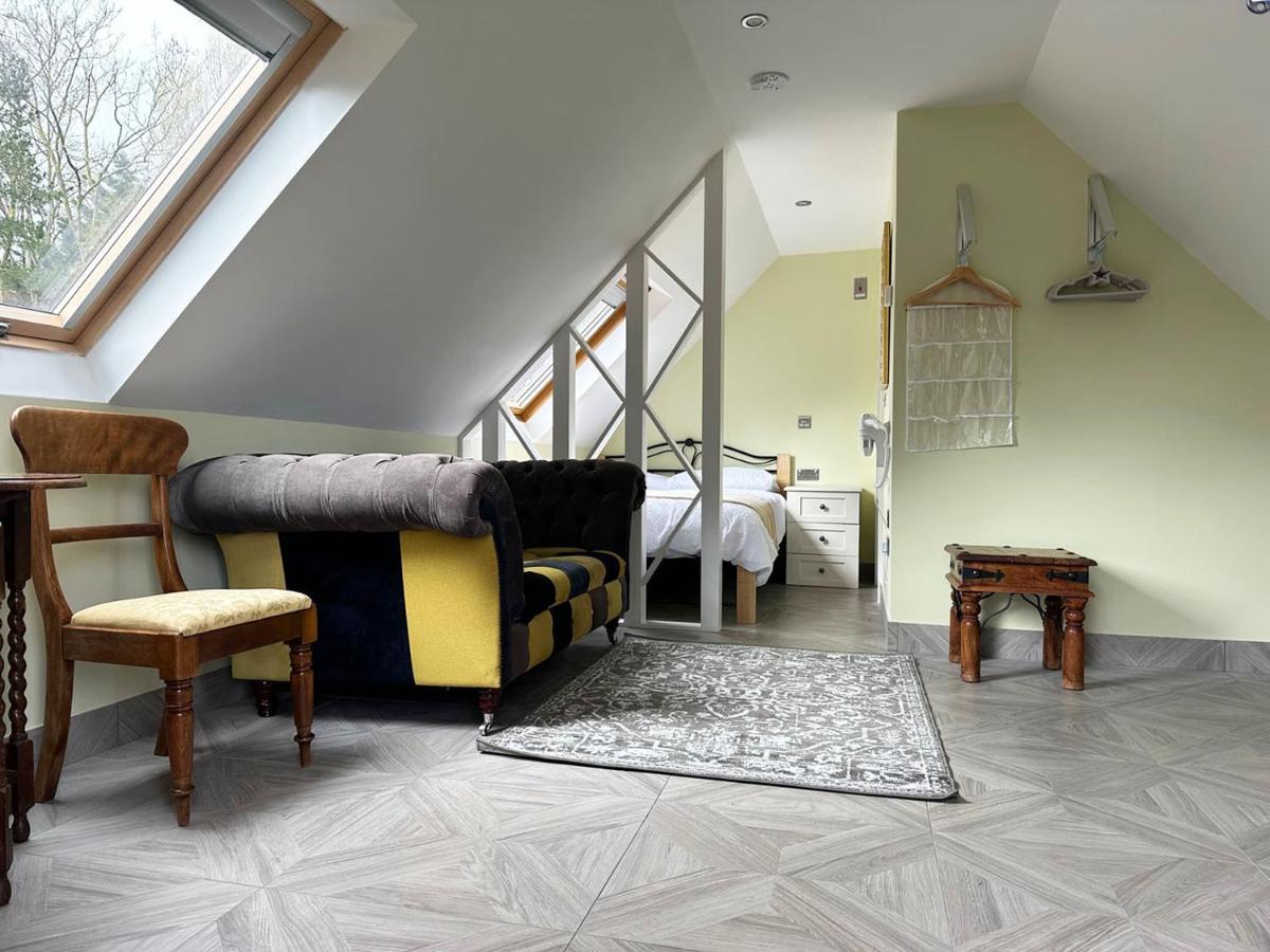 Forest Studio Apartment Gated Parking On 2 Acres Garden チズルハースト エクステリア 写真