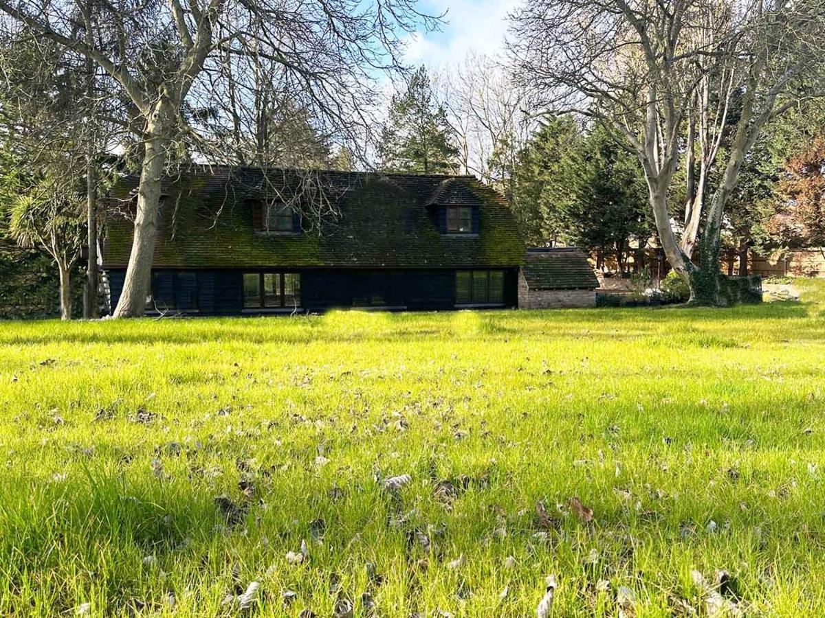 Forest Studio Apartment Gated Parking On 2 Acres Garden チズルハースト エクステリア 写真