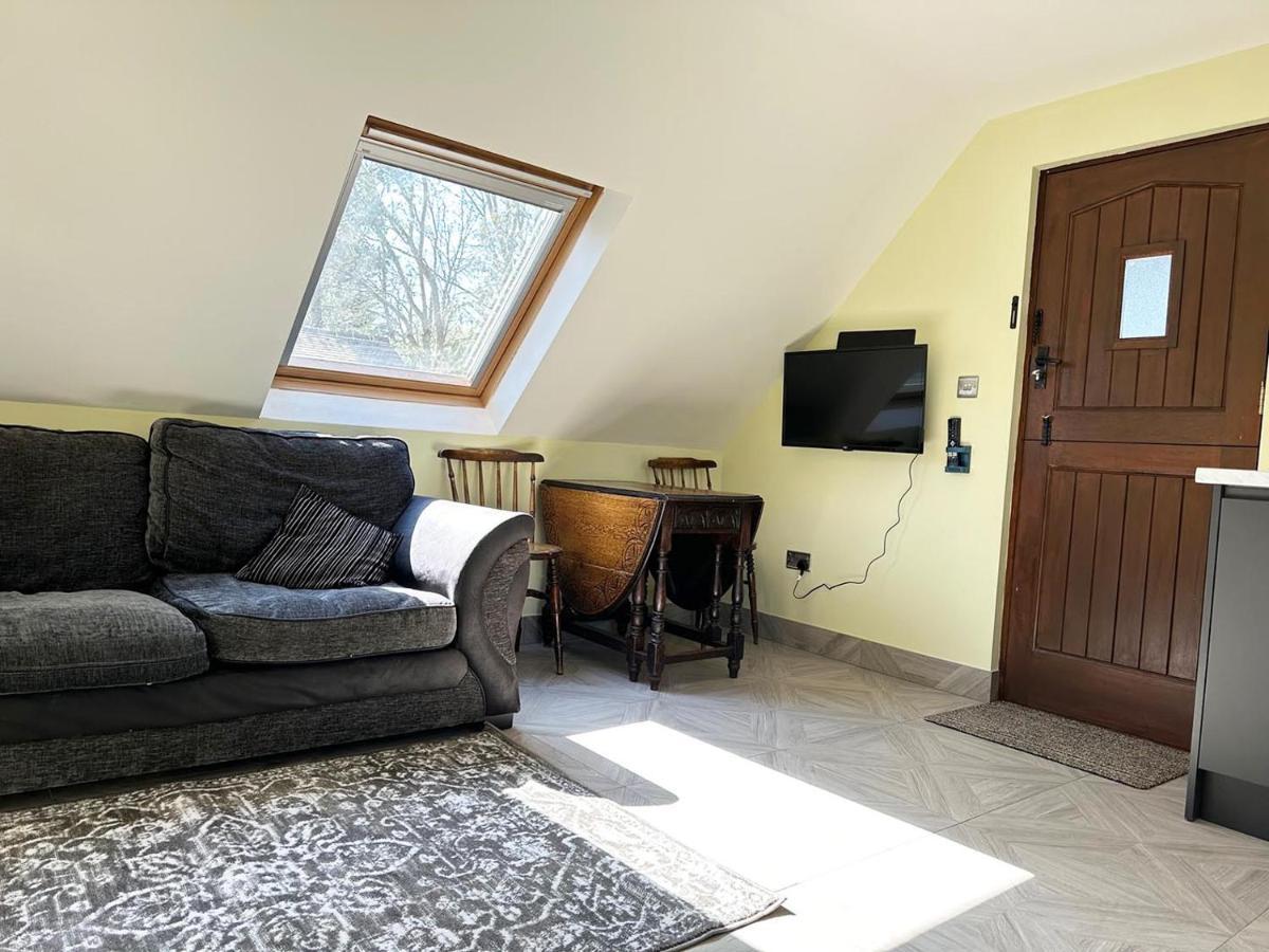 Forest Studio Apartment Gated Parking On 2 Acres Garden チズルハースト エクステリア 写真