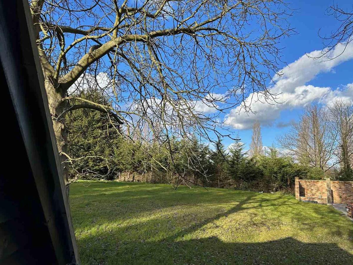 Forest Studio Apartment Gated Parking On 2 Acres Garden チズルハースト エクステリア 写真